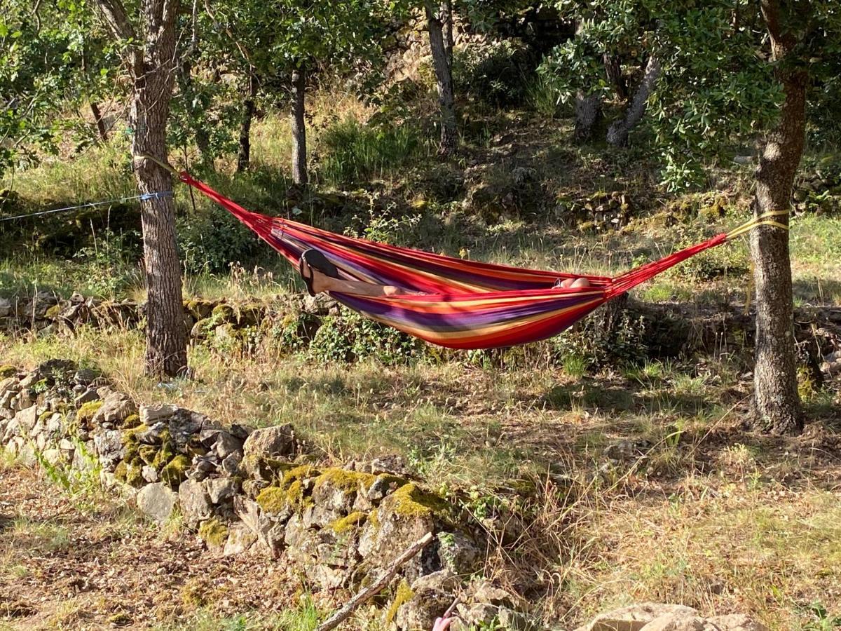 Ribes - Chalet Gite Au Coeur De La Nature Sournia Exteriör bild
